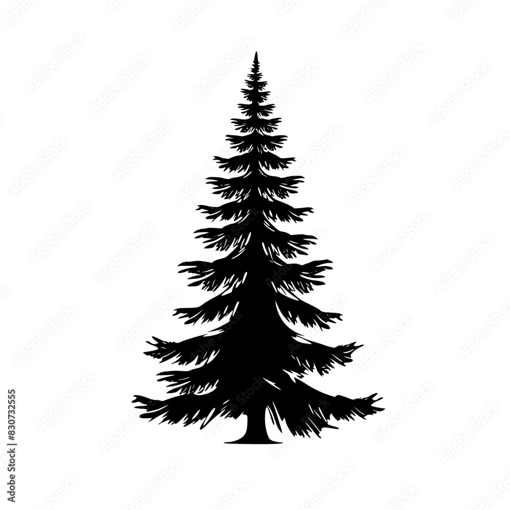 Obraz premium Silhouette of Pine Tree, Black and white silhouette of a pine tree with layered branches, showcasing its symmetrical and elegant shape.