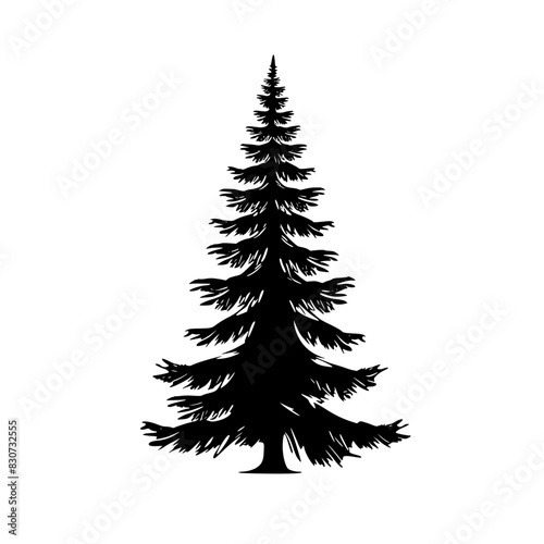 Silhouette of Pine Tree, Black and white silhouette of a pine tree with layered branches, showcasing its symmetrical and elegant shape.