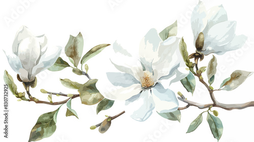 White flowers magnolia watercolor floral clip art. Pe