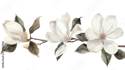 White flowers magnolia watercolor floral clip art. Pe