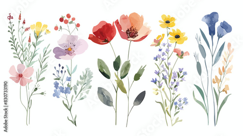 Wild flowers bouquet watercolor digital illustration.