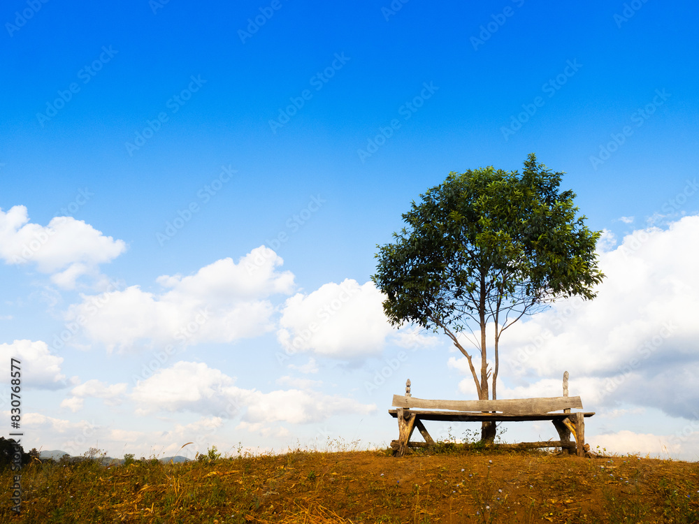 Wooden bench seat and lone tree on Mountain hills Wooden bench seat and lone tree on Mountain hills