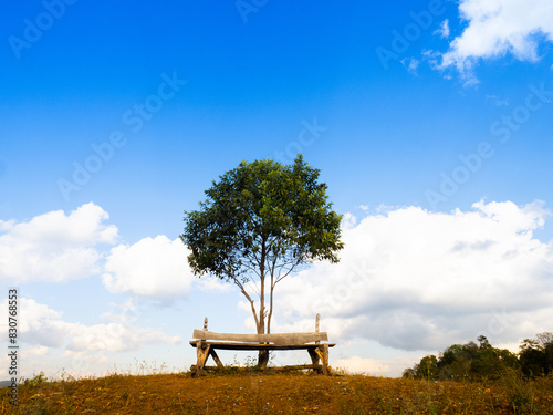 Wooden bench seat and lone tree on Mountain hills © PixHound