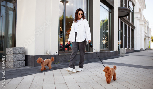 Fotografie Stylish woman walks down the city street with two small dogs on leashes