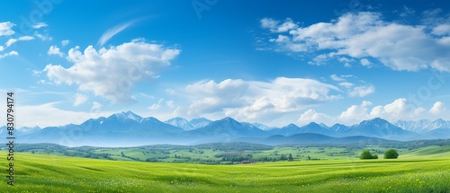 Summer spring panoramic landscape  green grass field  blue sky with clouds  shallow depth of field  mountains in background 8K   high-resolution  ultra HD up32K HD