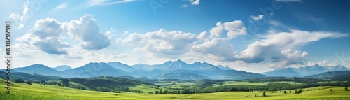 Green grass field under blue sky with clouds  mountains in background  panoramic summer spring meadow  shallow depth of field 8K   high-resolution  ultra HD up32K HD