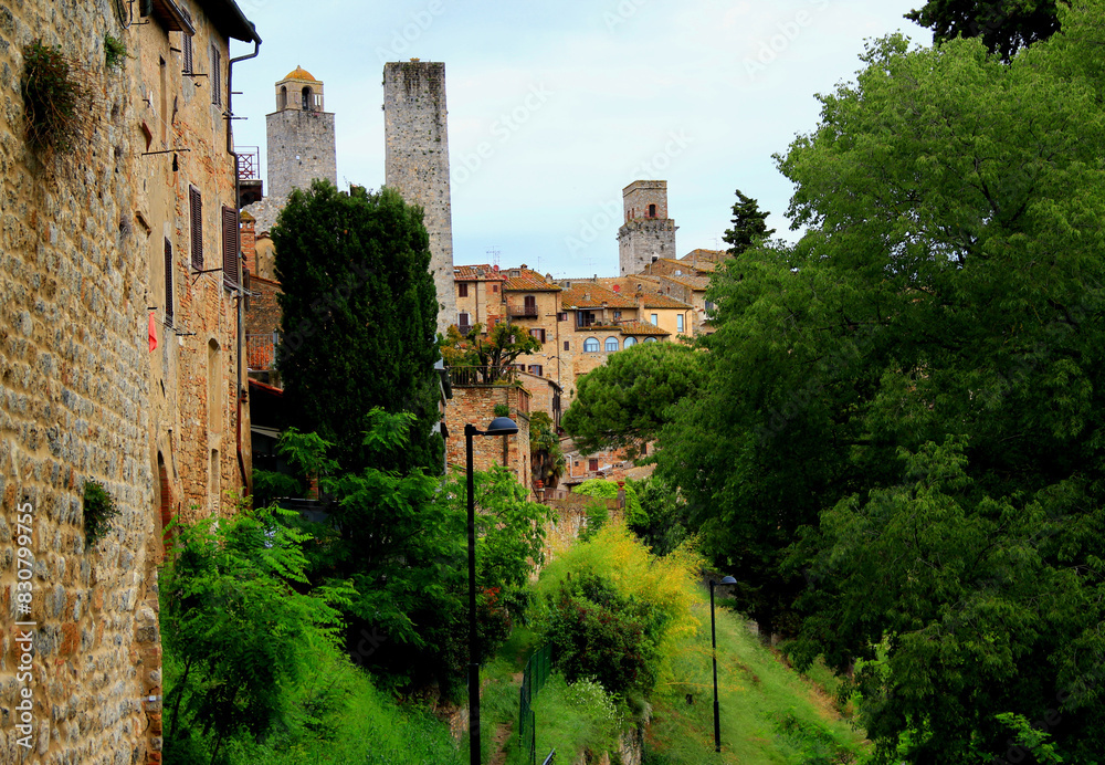 Photo with a view of the medieval towers and plants in the foreground in the historic part of San Gimignano, near Siena, Tuscany, Italy