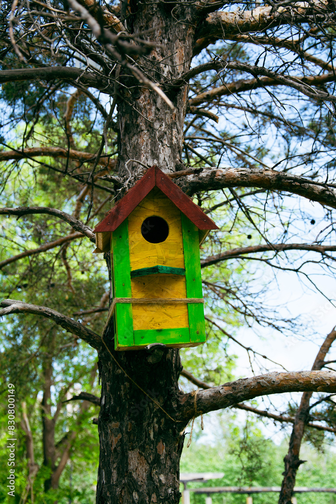 Beautiful birdhouse in forest. Birdhouse on tree at springtime. Wildlife concept. High quality photo