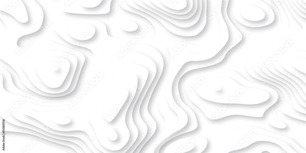 Vector 3D abstract background with paper cut shapes. paper cut topography vector art background banner texture. White wave paper curved reliefs abstract background. Realistic papercut decoration layer Vector 3D abstract background with paper cut shapes. paper cut topography vector art background banner texture. White wave paper curved reliefs abstract background. Realistic papercut decoration layer