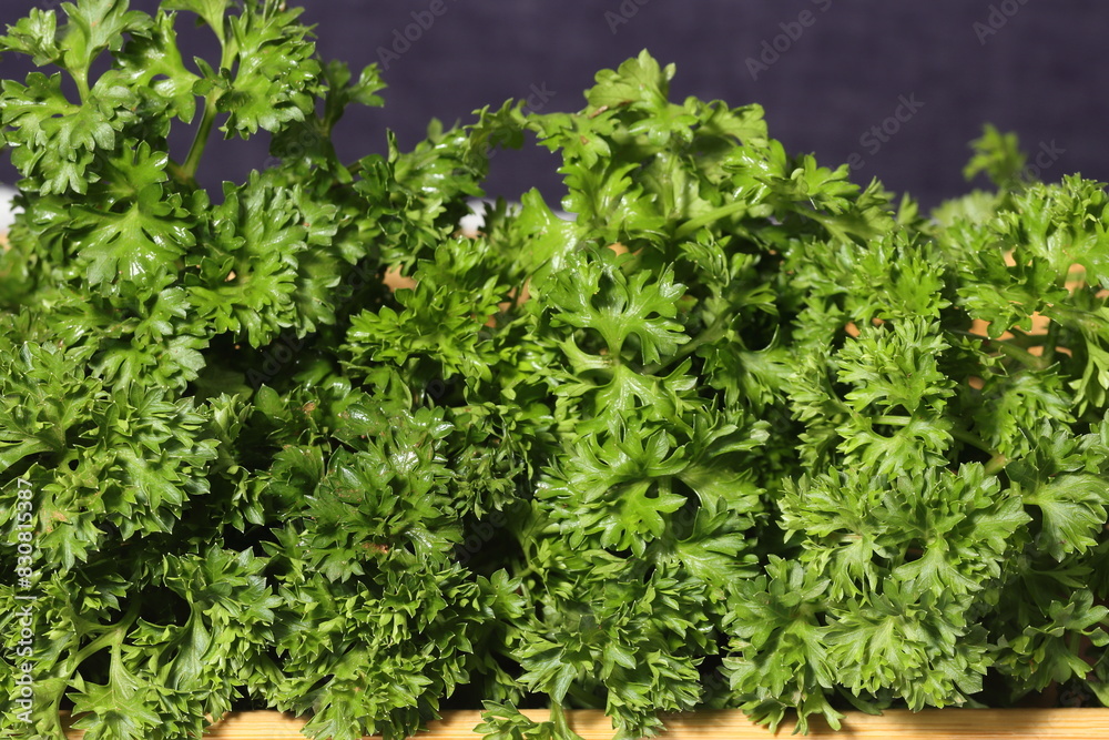Obraz premium Fresh parsley on texture background