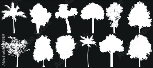 Tree silhouettes vector set. Perfect for nature designs, botanical illustrations, landscape decorations, and artistic projects