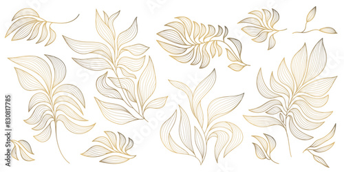 Vector set of gold wavy leaves isolated, plant branch line illustration, luxury foliage decoration. Vintage ornament elements, jungle, summer background