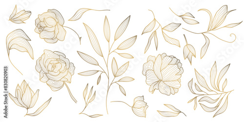 Vector set of gold leaves and flowers isolated, plant branch line illustration, luxury foliage decoration. Vintage ornament elements, peonies, summer background