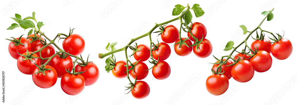 Set of fresh delicious tomatoes with leaves, cut out Set of fresh delicious tomatoes with leaves, cut out