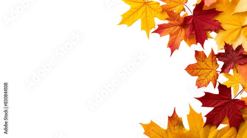 Colorful autumn leaves border  isolated on transparent background, perfect for seasonal designs, backgrounds, and holiday themes. 
