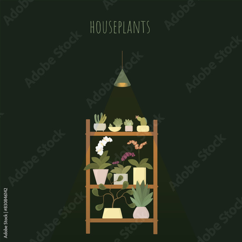 Dark room with colored houseplants under lamp light. 
Decorative indoor stand with exotic flowers with stems and leaves in pots