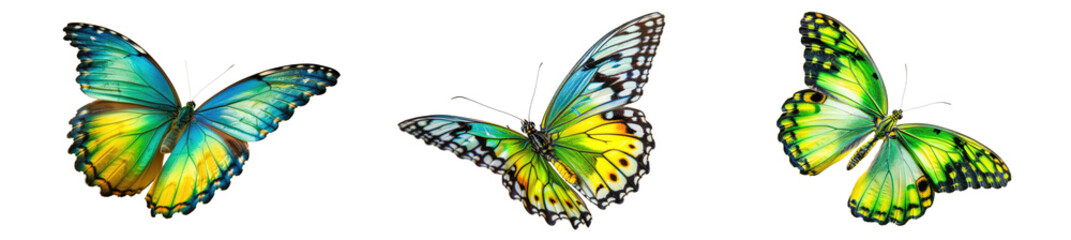 set of beautiful blue green yellowbutterflys isolated on white or transparent png