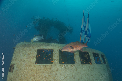 Israeli flags underwater, in the Red Sea, Eilat Israel photo