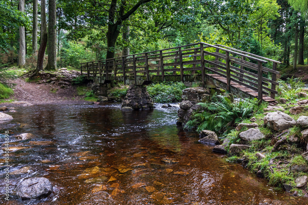 Obraz premium Wooden footbridge over the river Esk near Dalegarth station and Dalegarth waterfalls, in the Lake District National Park, England