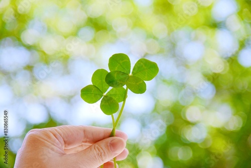 Fotografie 四つ葉のクローバーを持つ手　Four-leaf clover　Lucky clover