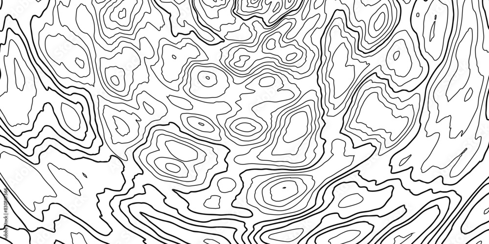 Fototapeta premium Topographic map. Contour abstract background. Topological landscape on white. Vector illustration.
