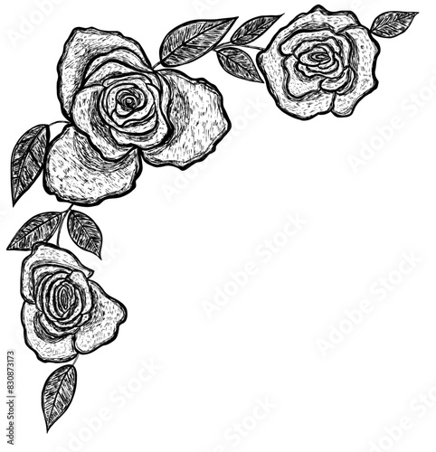 Corner divider with rose flower and leaf in grunge sketch style