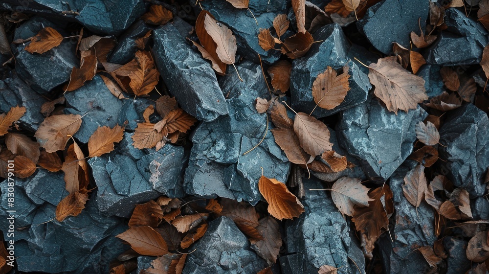 Dry leaves ripped in rocky locations Dry leaves ripped in rocky locations