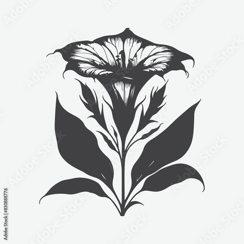 Print Captivating Nicotiana Flower Silhouettes, A Stunning Floral Masterpiece