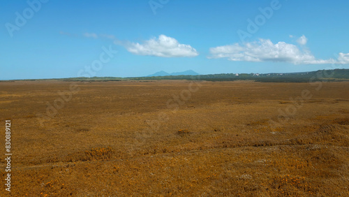 Drone flying over yellow meadow during the summer day. Clip. Endless valley on a blue cloudy sky background.