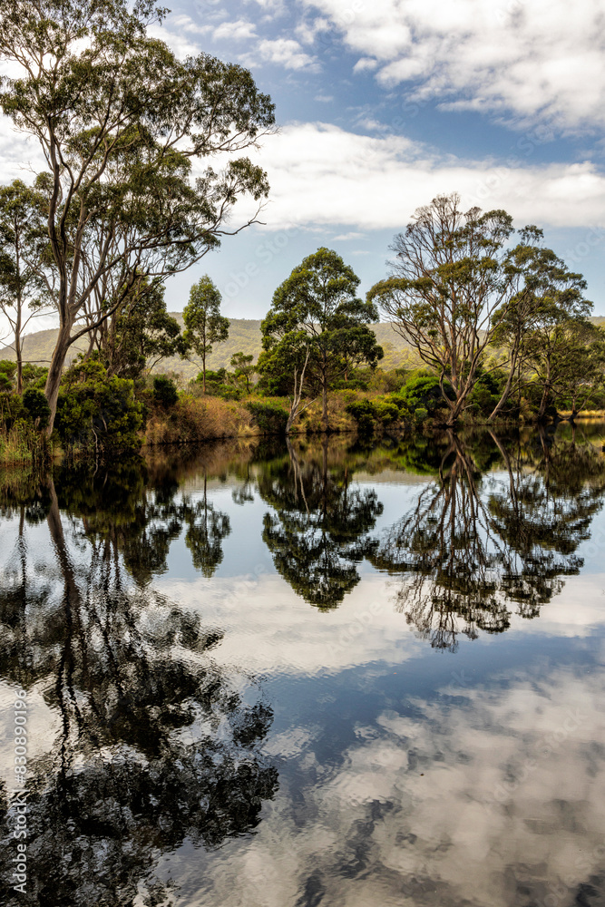 Reflections in Captain Cook Creek, Adventure Bay, Bruny Island, Tasmania, Australia