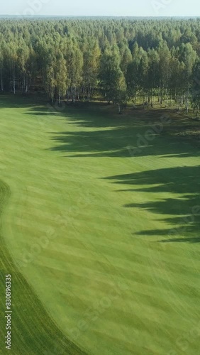 Green fields in summer day, aerial view of golf course in forest area, Golf Club, view of the field of green lawn near the forest and lake, vertical video background.