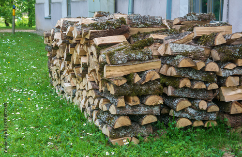 A pile of dry firewood .
