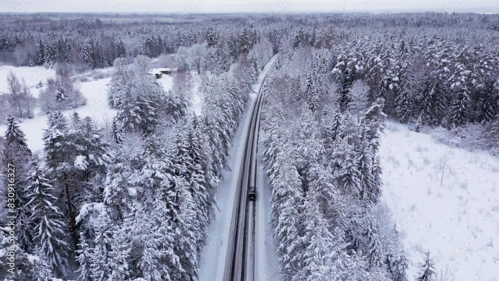 Aerial view in the estonian forest in winter avobe a road, everything is covered with snow, the drone flies over the pine trees capturing the snowy landscape, the road ann the cars. Aerial view in the estonian forest in winter avobe a road, everything is covered with snow, the drone flies over the pine trees capturing the snowy landscape, the road ann the cars.