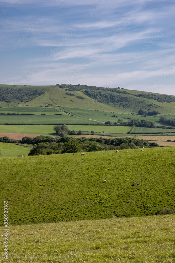 A view of the South Downs from near Glynde in Sussex