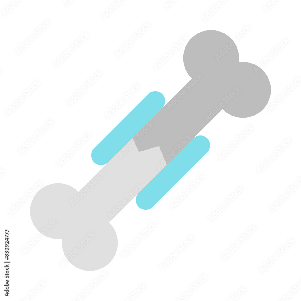 Fixed Bone Flat Icon Design Fixed Bone Flat Icon Design