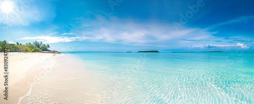 Schöne Palme am tropischen Inselstrand vor blauem Himmel mit weißen Wolken und türkisfarbenem Ozean an einem sonnigen Tag. Perfekte natürliche Landschaft für den Sommerurlaub, tropisch, strand, palme photo