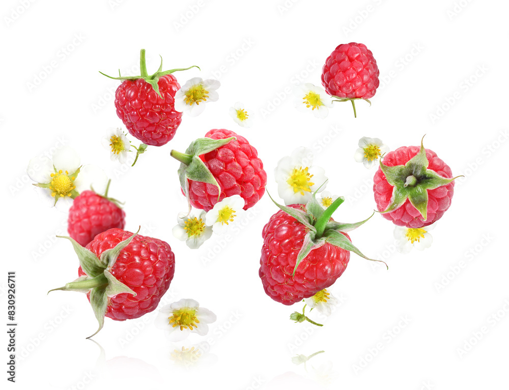 Ripe raspberries and flowers in air on white background Ripe raspberries and flowers in air on white background
