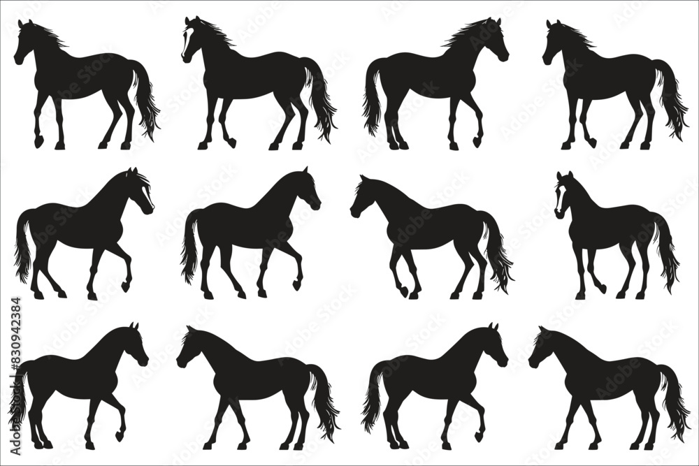Obraz premium Set of horse silhouette, Horses silhouettes, Silhouette of a running horse, Big set of horses silhouettes, Race horses silhouettes set, Horse, Running, Run, Animal, Jumping, Race, Champion, Succeed