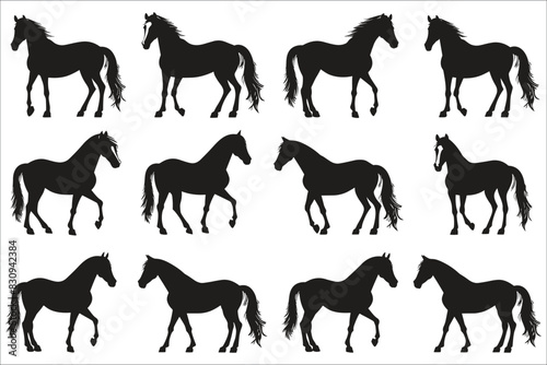 Set of horse silhouette, Horses silhouettes, Silhouette of a running horse, Big set of horses silhouettes, Race horses silhouettes set, Horse, Running, Run, Animal, Jumping, Race, Champion, Succeed