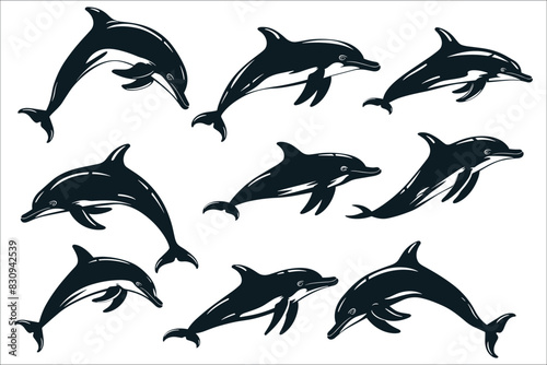 Set of black silhouette of dolphin, Silhouettes of fish, Dolphin jump from the water, Black silhouettes of dolphin, Dolphin, Element, Ocean, Jumping, Animal, Abstract, Aquarium, Fish, Illustration