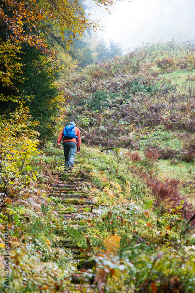 © Christian - Wanderer beim Aufstieg auf die Walter-Ulbricht-Schanze an der Vesser (Schmiedefeld, Thüringen, Germany)