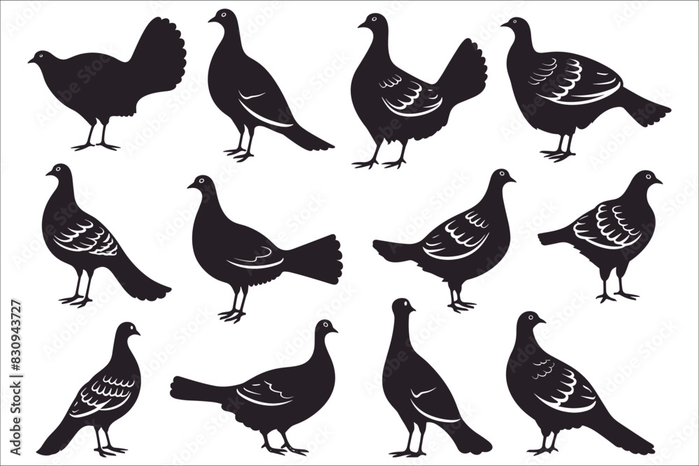 Black silhouettes of grouse, Grouse silhouette vector, Vector silhouettes of grouse, Grouse bird silhouette illustration, Grouse silhouette on white background Black silhouettes of grouse, Grouse silhouette vector, Vector silhouettes of grouse, Grouse bird silhouette illustration, Grouse silhouette on white background