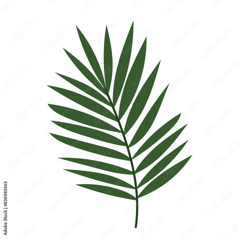 Palm tree branch in flat style. Decorative palm branch. A simple branch of a tropical plant. Palm tree branch in flat style. Decorative palm branch. A simple branch of a tropical plant.