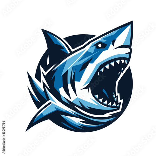 Vector shark head