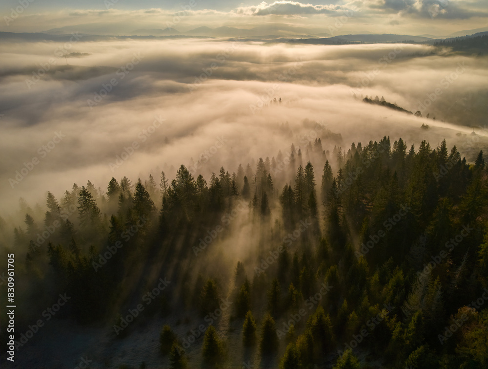 Fog spreads over the mountains at dawn. The sun rises on the horizon. Carpathians in the morning. Aerial drone view.