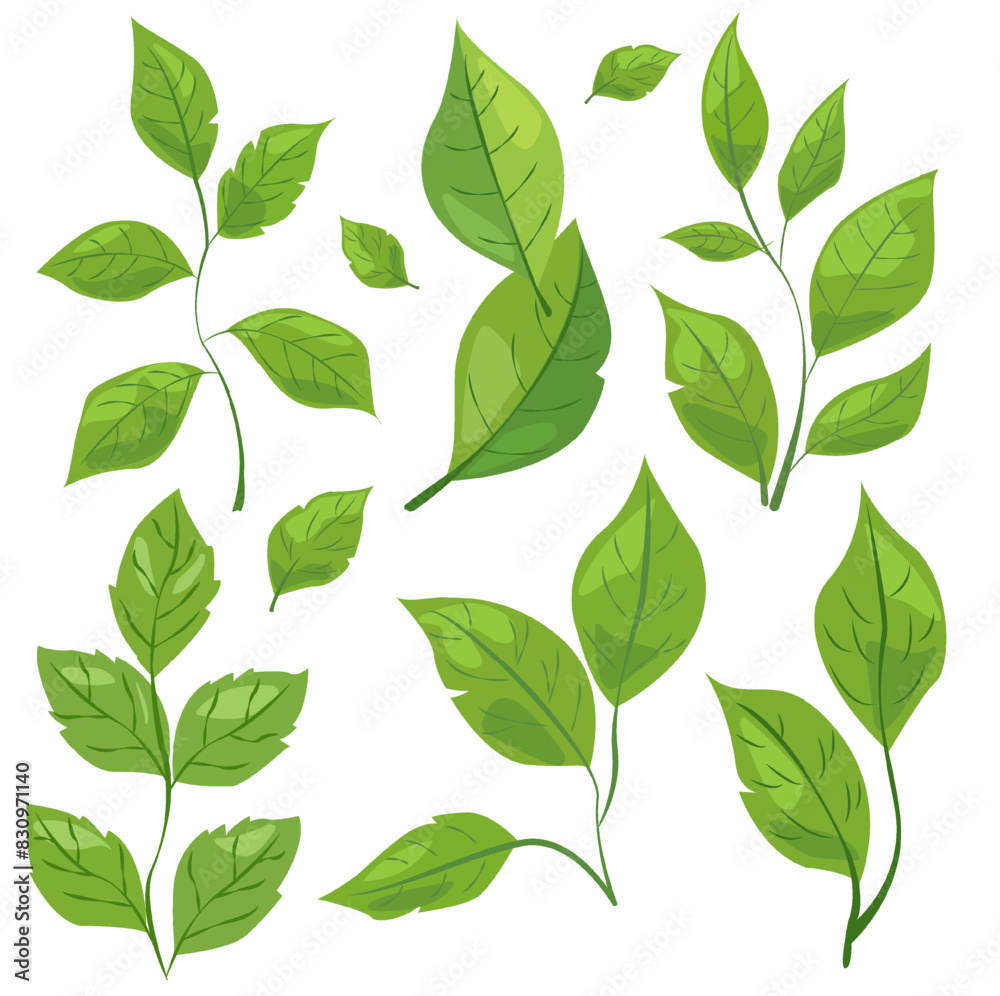 featuring eight different types of green leaves. Each leaf showcases unique shapes and vein patterns. graphic is simple, clean, and vibrant, ideal for nature-themed designs and eco-friendly projects