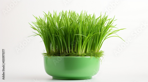green grass in a glass