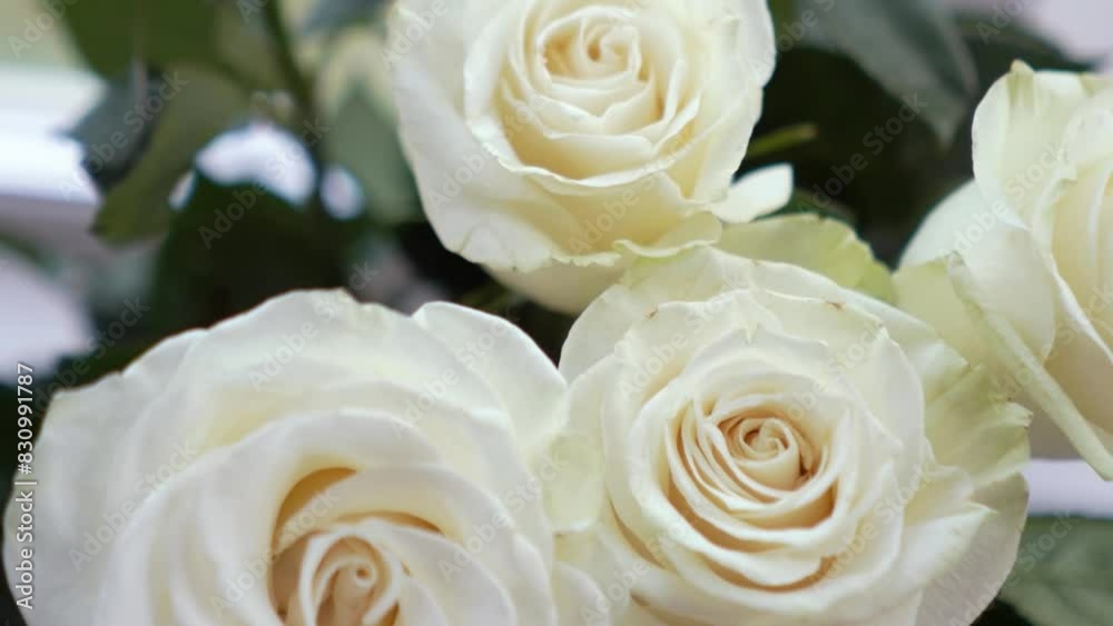a beautiful bouquet of white fragrant roses and petals stands in a vase near the window, floristry and aroma a beautiful bouquet of white fragrant roses and petals stands in a vase near the window, floristry and aroma