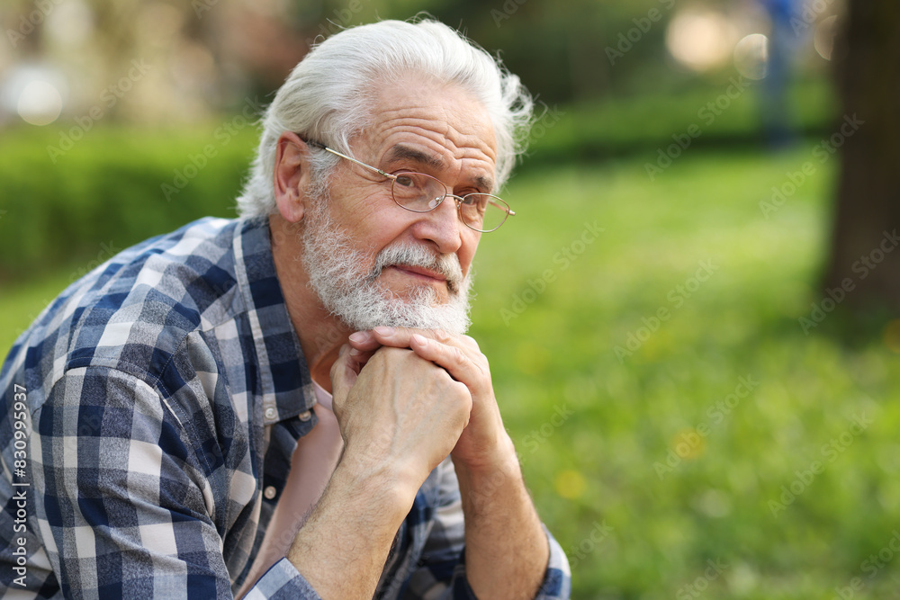 Portrait of happy grandpa with glasses in park, space for text Portrait of happy grandpa with glasses in park, space for text