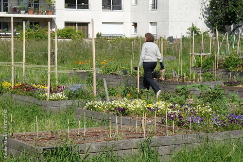 Photography Le paysan Urbain, ferme urbaine à Paris 20ème